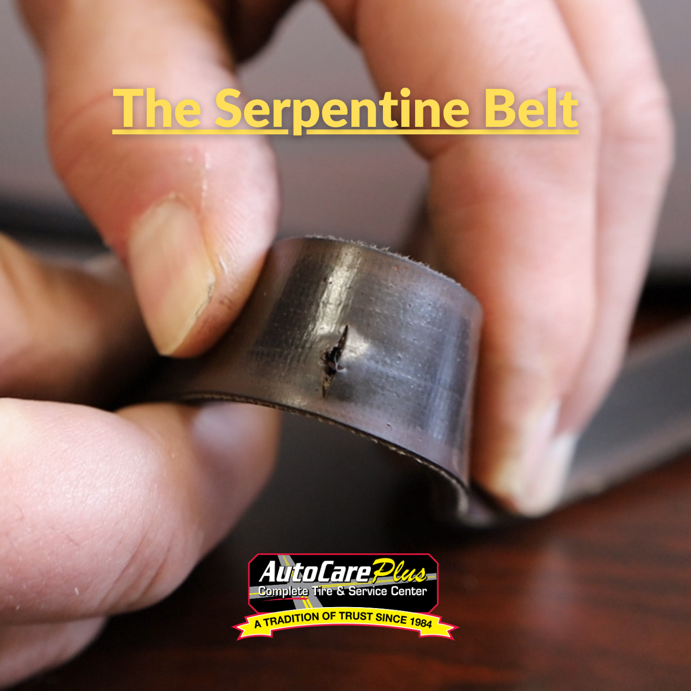 close up of serpentine belt showing a tear