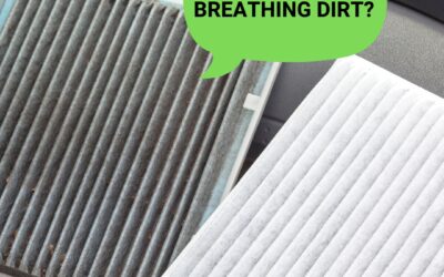 Breathing Easy: Understanding Cabin Air Filters vs Engine Air Filters